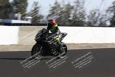media/Feb-16-2025-TrackDaz (Sun) [[85eae43da9]]/C Group/140pm (Wheelie Dip)/